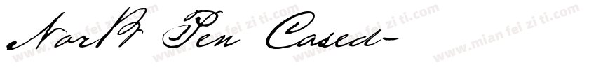 NorB Pen Cased字体转换